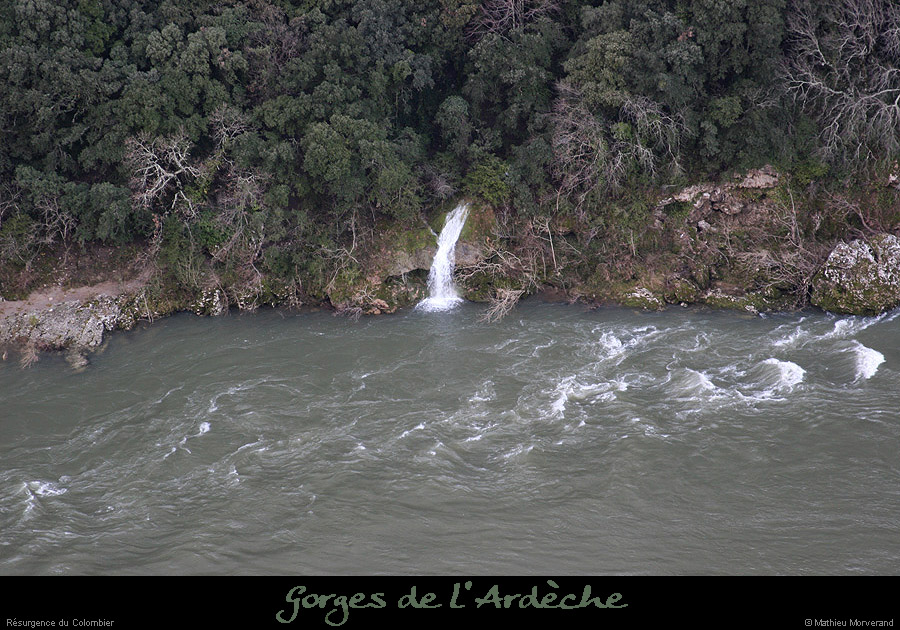 20090101_colombie_resurgence3