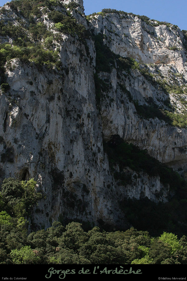 20110413_saleyron_faillecolombier