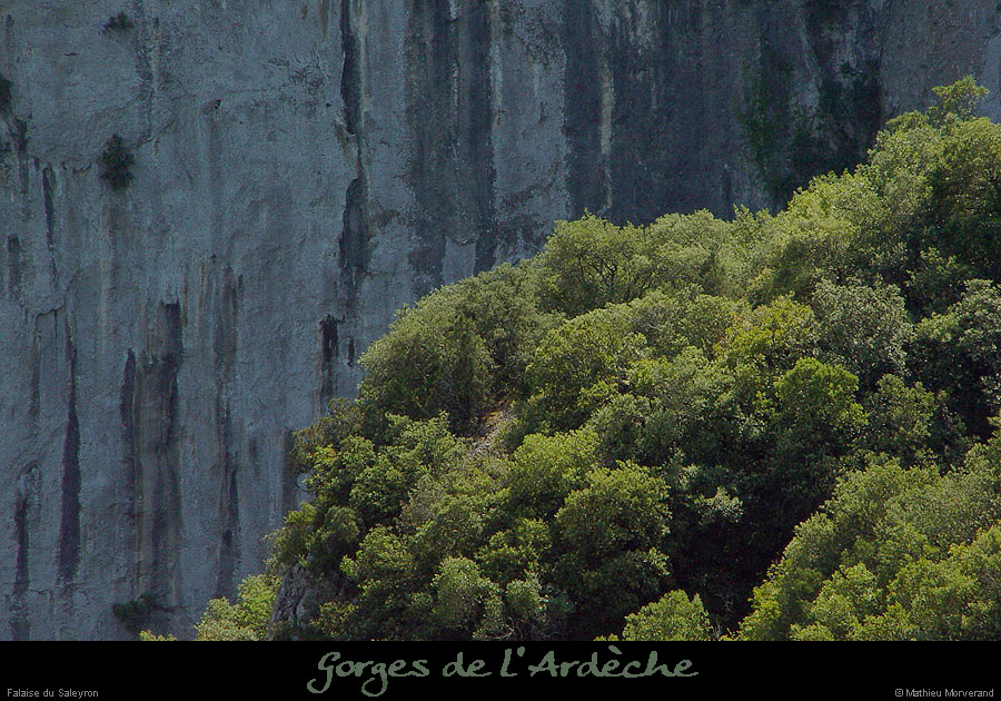 20030808_falaisefarre2