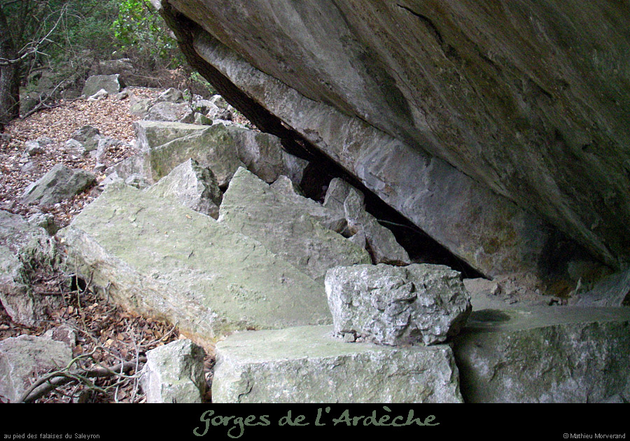 20080508_farre_67
