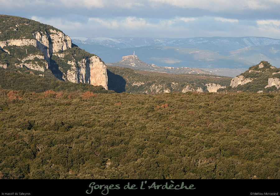 20081219_saleyronetsampzon2