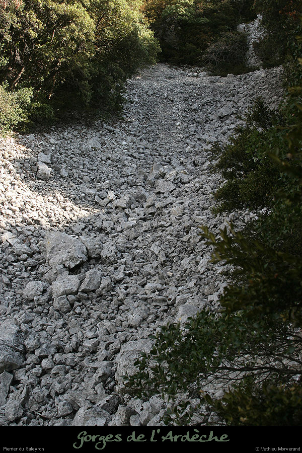 20090815_htfalaisesaleyronpierrier1