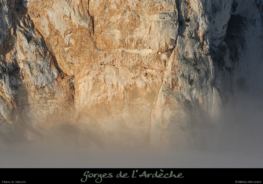 20101113_falaisesaleyrondepuisleserredetourre1