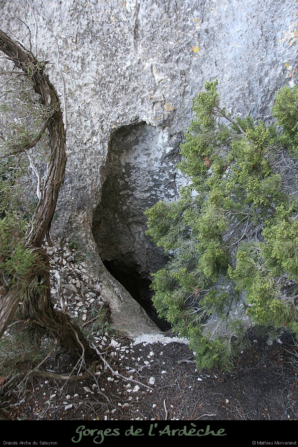 20081227_saleyron_arche1_grotte3