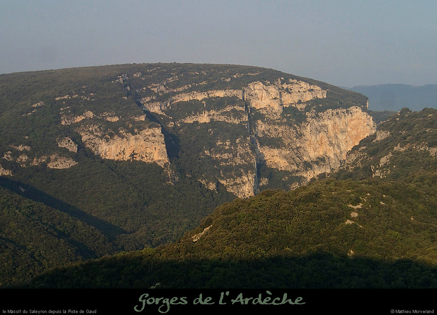 20140925_saleyron_depistedegaud