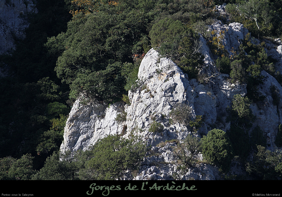 20161112_pentessssaleyron2