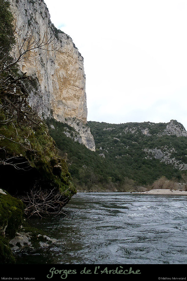 20130405_avalsaleyron