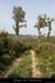 20080508_cheminsudsaleyron