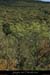 20090815_massifsaleyronparlest