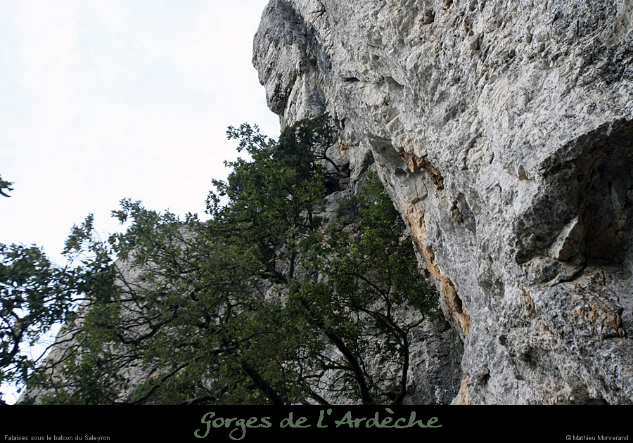 20110203_pontiarw2_falaise2