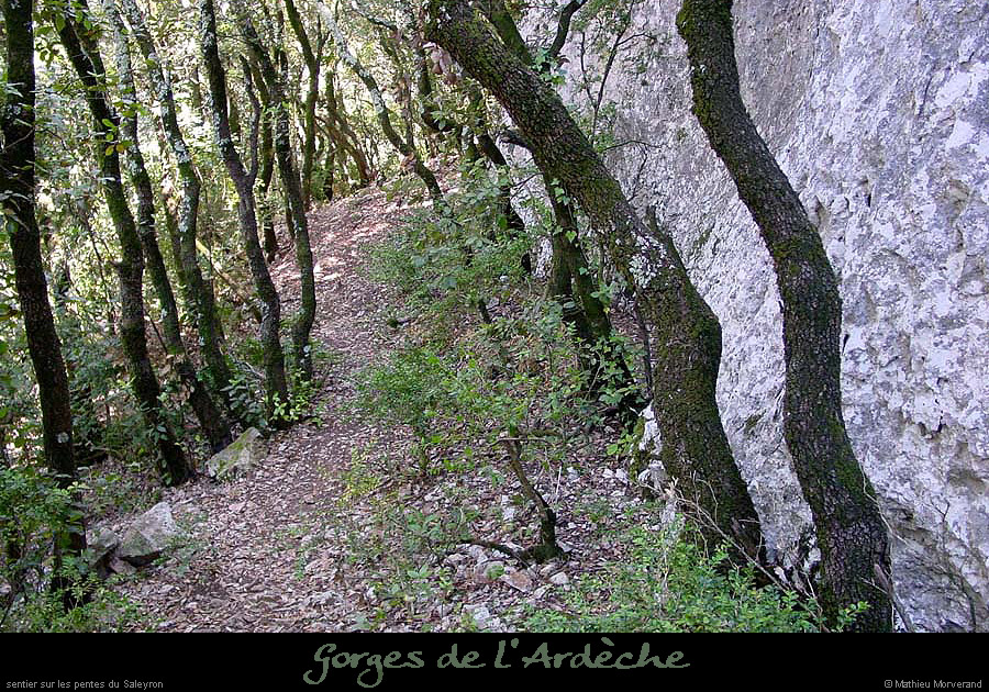 20010701_saleyroncolombierchemin