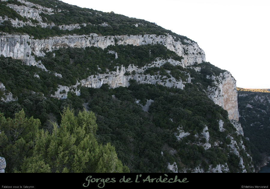 20081221_falaisessaleyron2