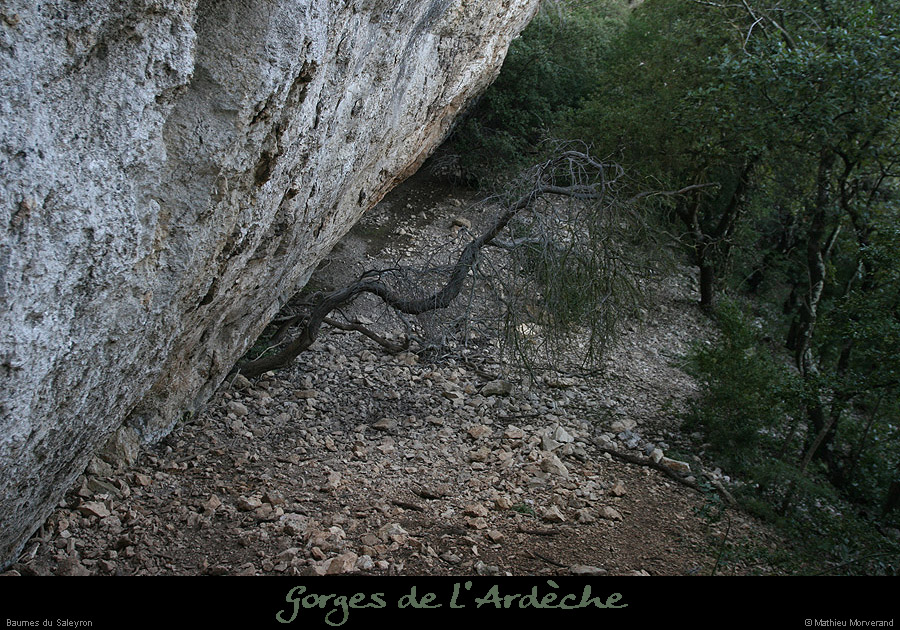 20081227_saleyron_estbaume1