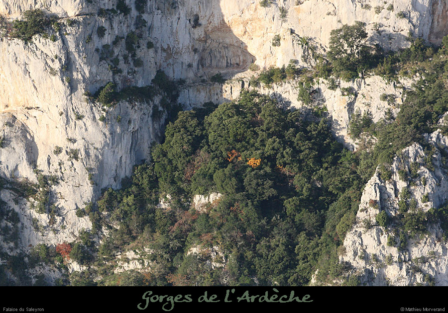 20101113_viressaleyronwdepuisleserredetourre5