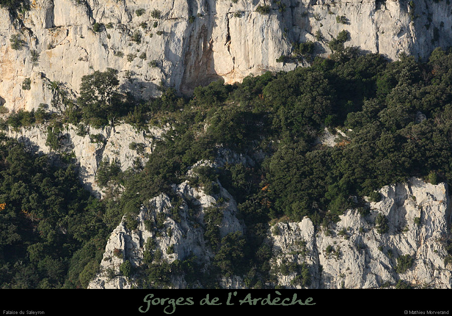 20101113_viressaleyronwdepuisleserredetourre8