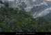 20081227_saleyron_viresup