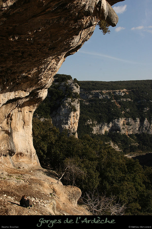 20090307_baumebouchas19