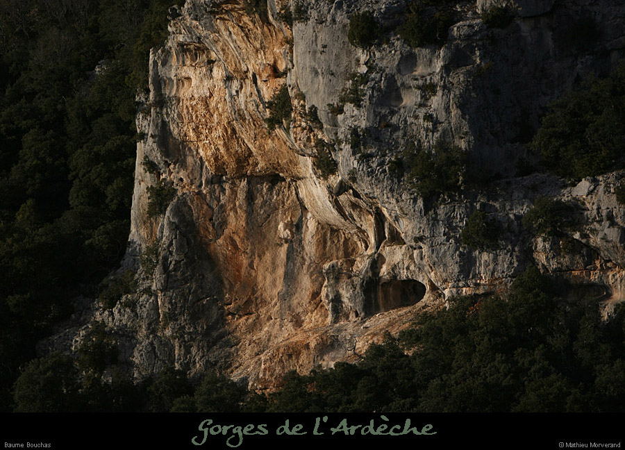 20111229_baumebouchas