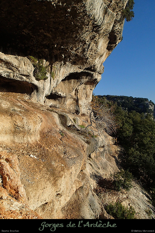 20151108_baumebouchas2