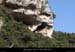20090307_baumebouchas05