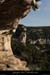 20090307_baumebouchas19