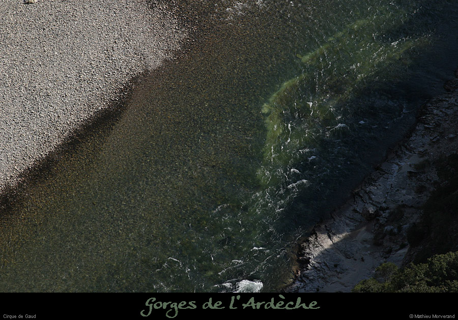 20090307_canelledevirecaprine2