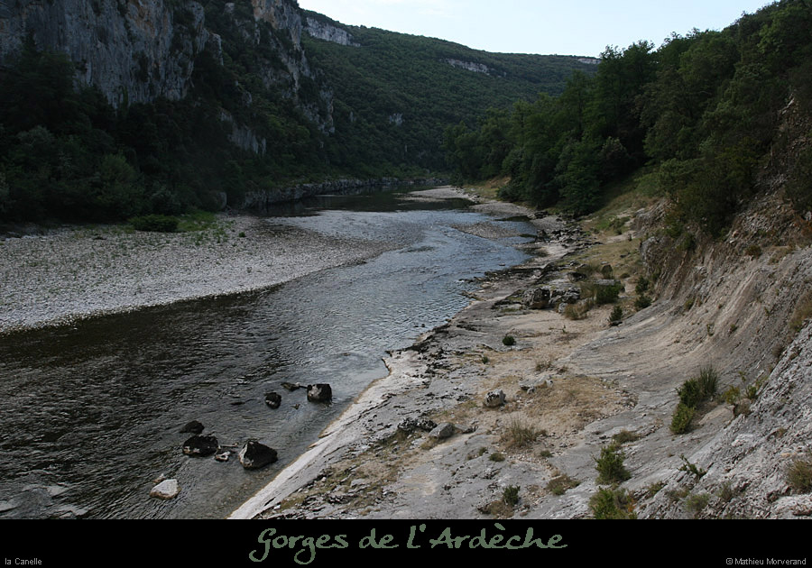 20110706_canelleparav