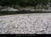20130602_gaud_plagecanelle