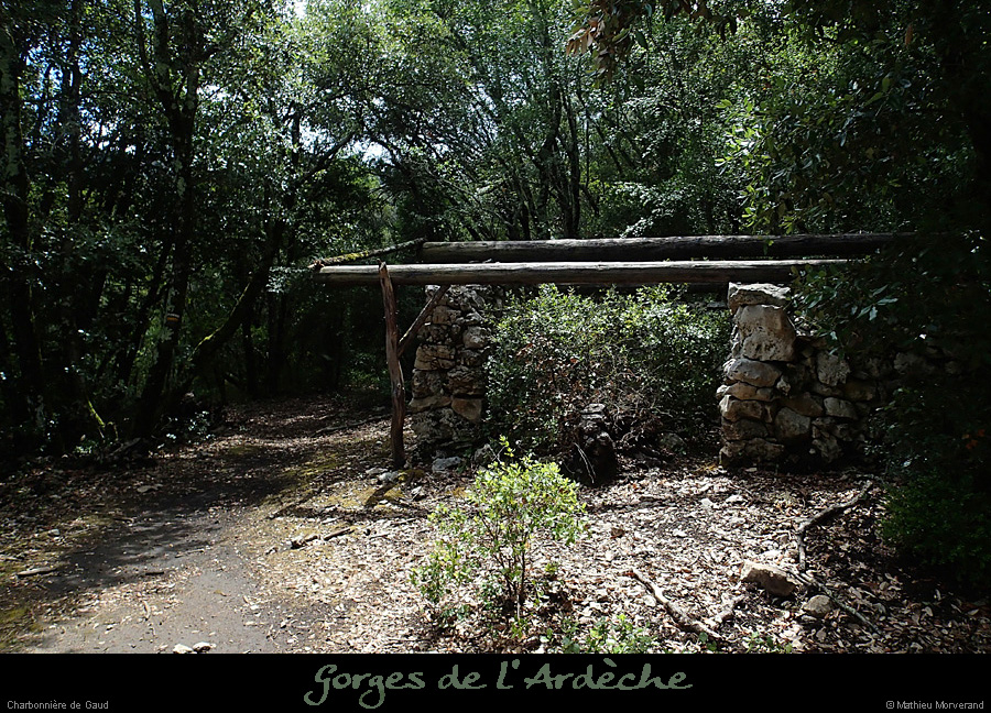 20140629_gaudcharbonniere1
