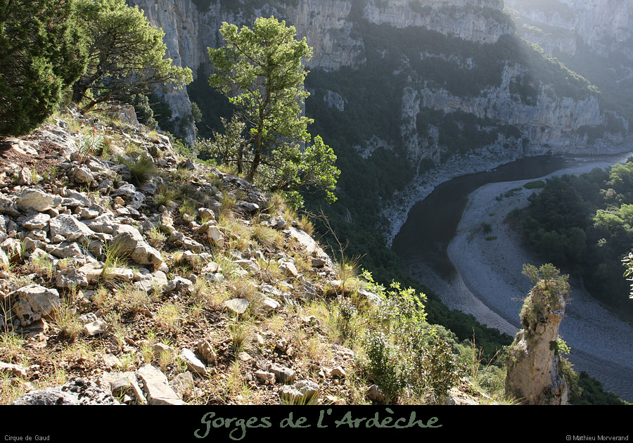20080814_004gaud