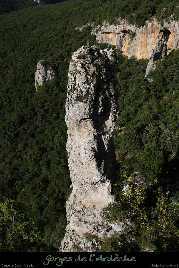 20080814_019gaud