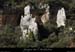 20071209_cirquegaudnord_aiguille2_2