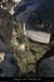 20071223_cirquegaudnord_aguille1_1