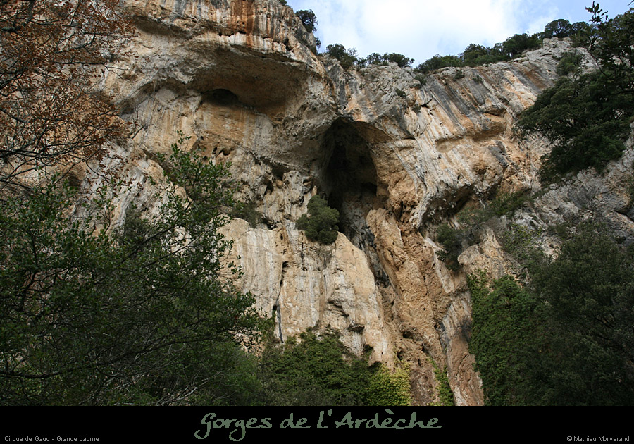 20080301_cirquegaud_grdebaume