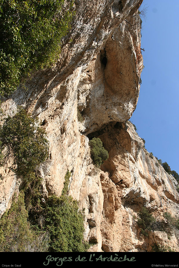 20090307_cirquegaudgrdebaume2