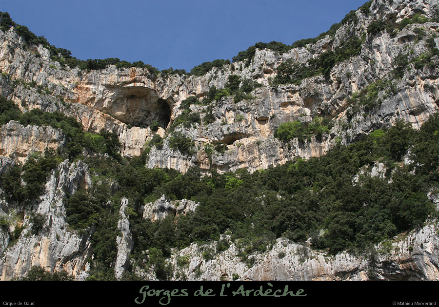 20110413_cirquegaud_grdebaume2
