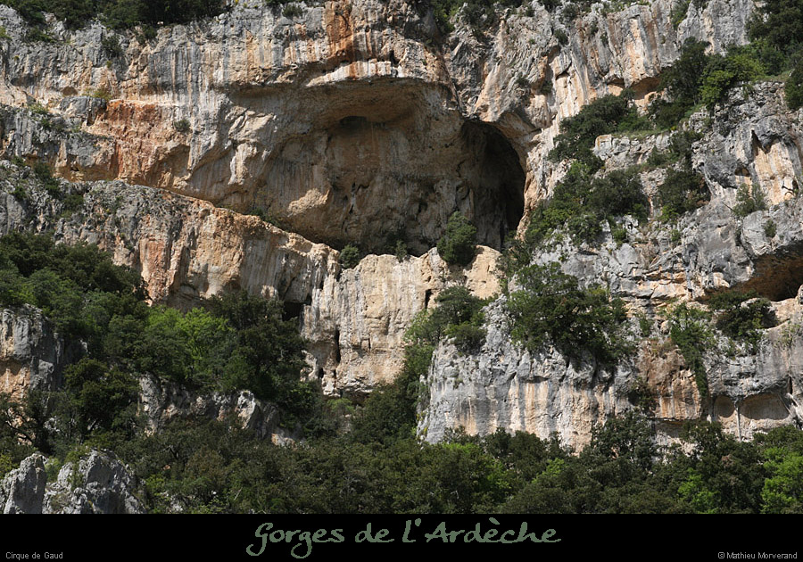 20110413_cirquegaud_grdebaume3