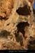 20071223_cirquegaudnord_falaises_grdebaume01