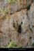 20080813_105gaud