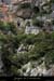 20130602_cirquegaudparrd2