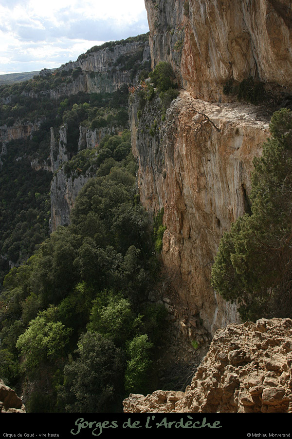 20080419_gaud_virehtepresgrdebaume1