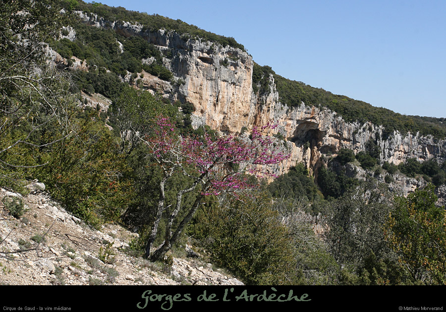 20080407_ciquegaudnord1