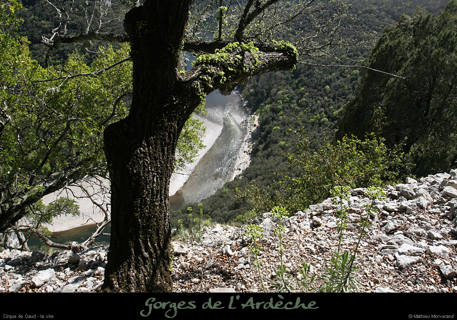 20080407_ciquegaudnord3