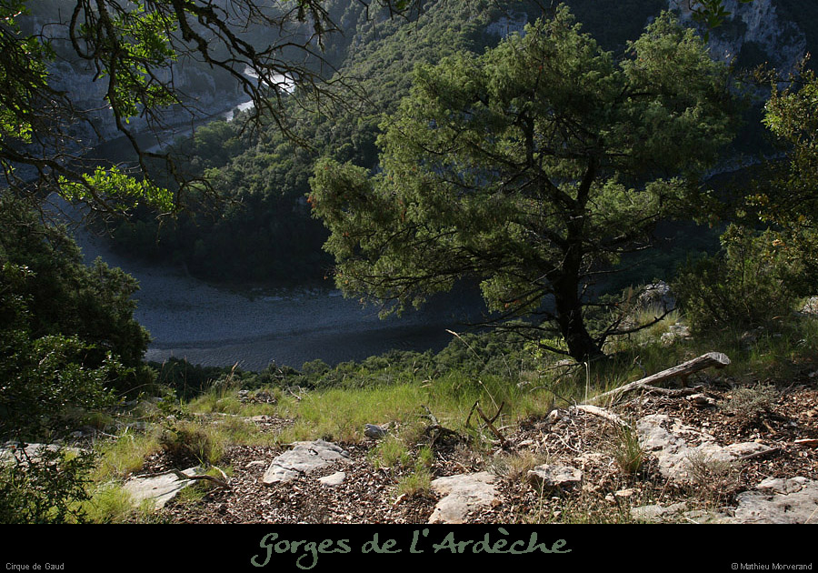 20080814_002gaud