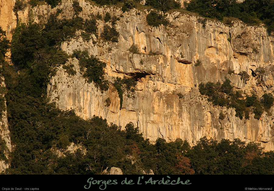 20081207_cirquegaud_virecaprine1