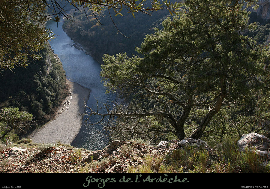 20081207_cirquegaud_vireint