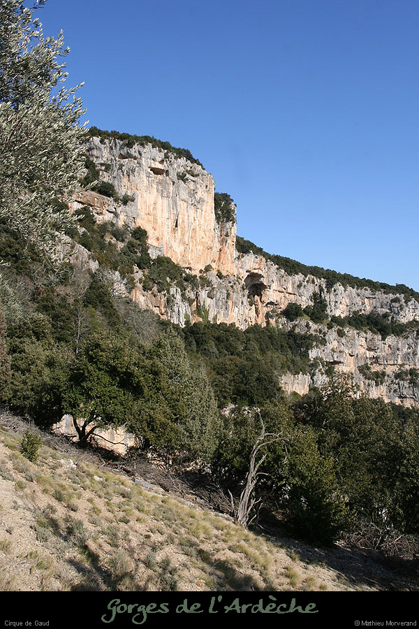 20090307_cirquegaudoliviers1