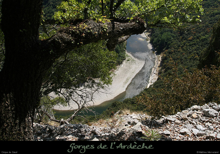 20090820_caneledevireint6