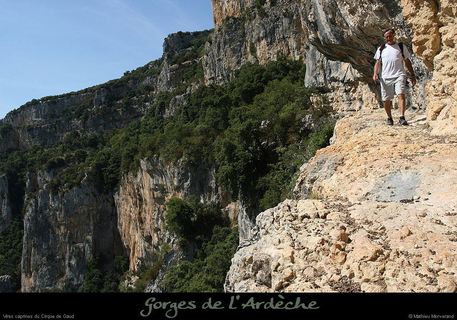 20090820_virecaprineint05