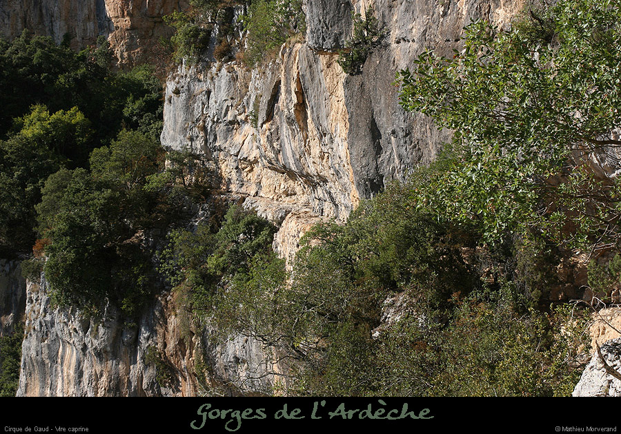 20090830_cirquegaud_virecaprine5